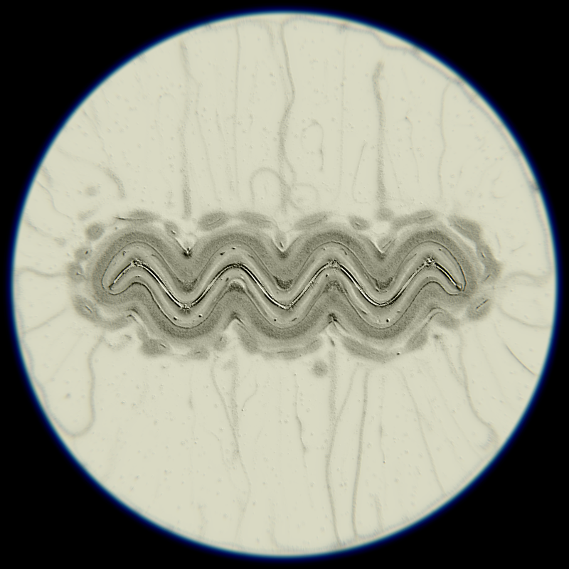 Ethereal Microcosm #191