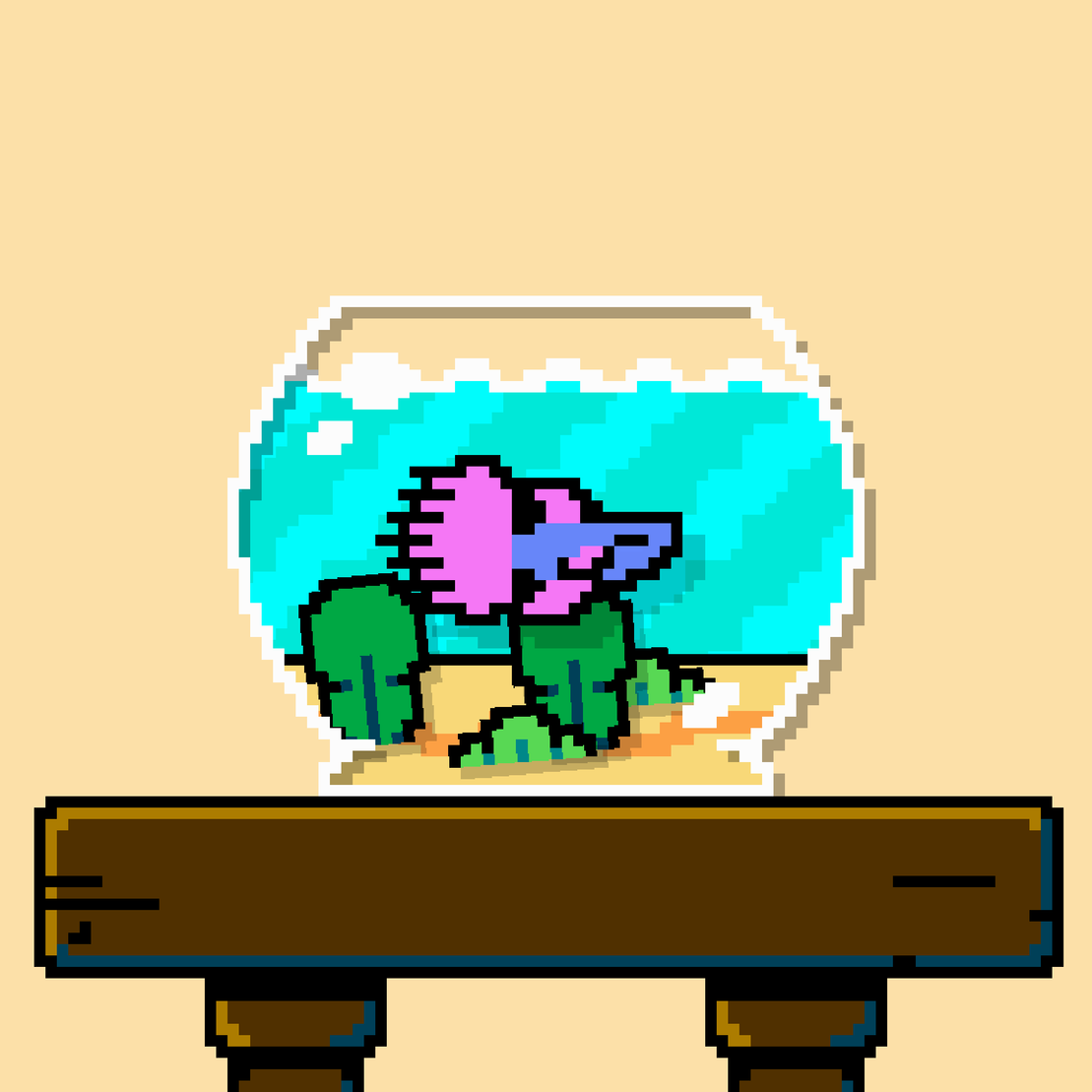 betta fish #320