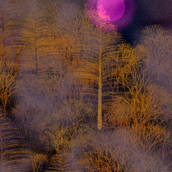 Moonlit Native Bush #2