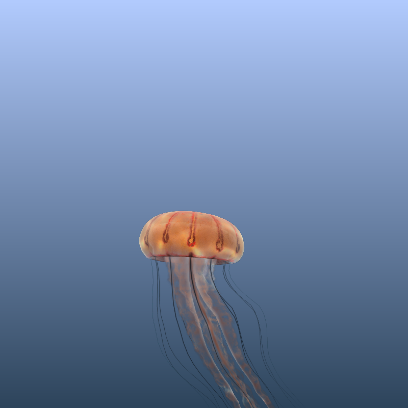 Jellyfish #36