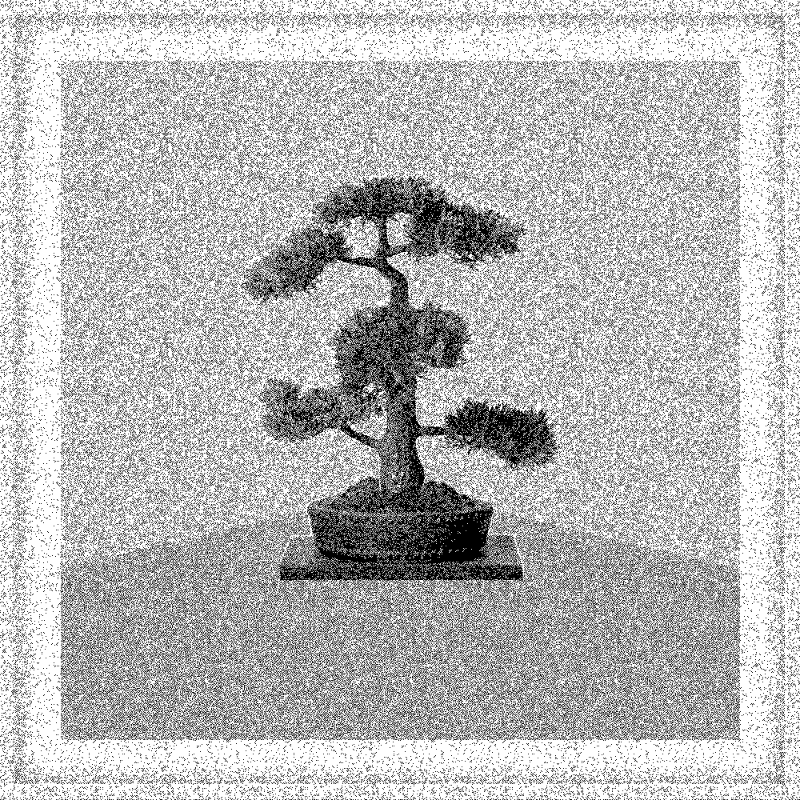 Bonsai Bonanza #828