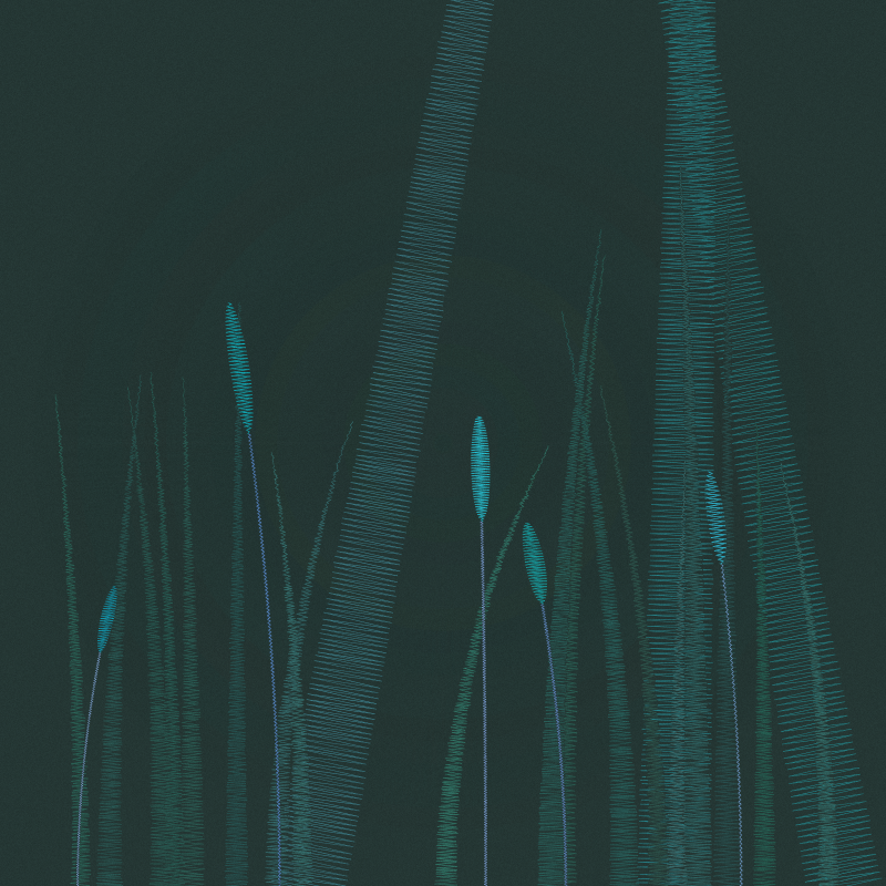 ZigZag Garden #48