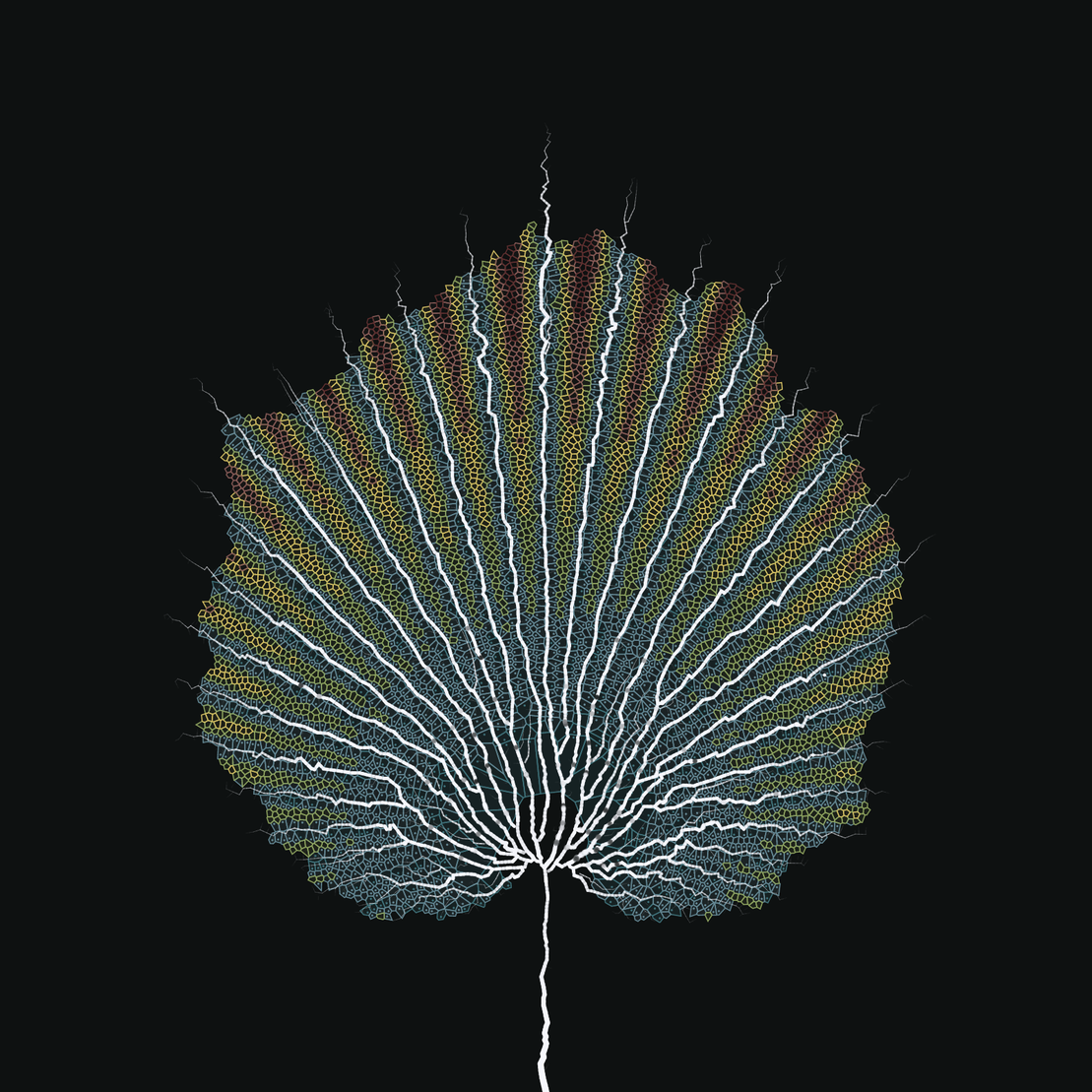 Leaf study #11