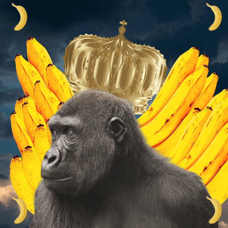 Banana gods #60