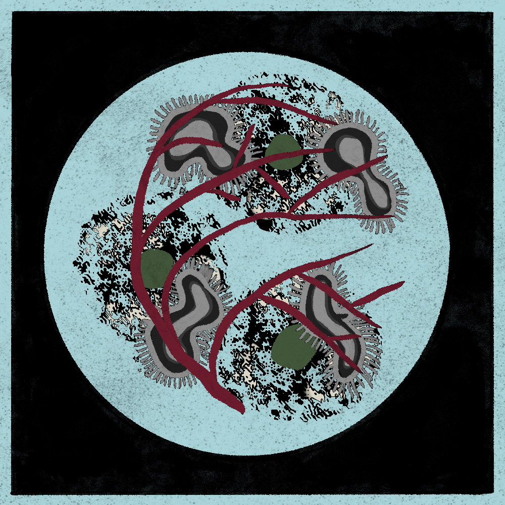 Microbes #112