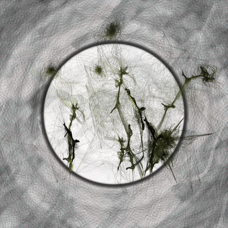 Herbarium Invaders #42
