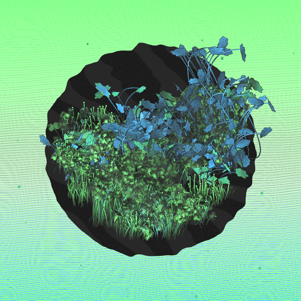 A Gift of Nature #164