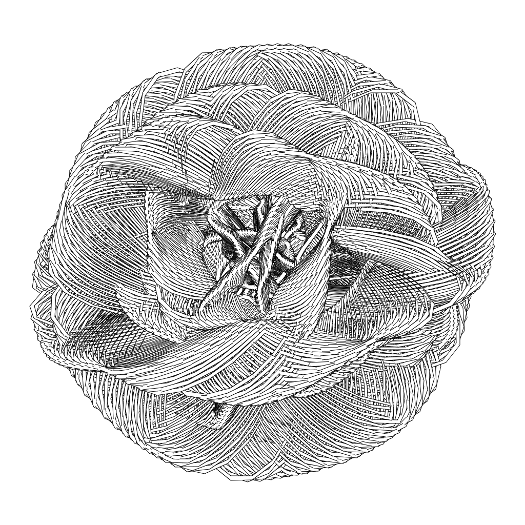 LL21 Entangled (3) #432