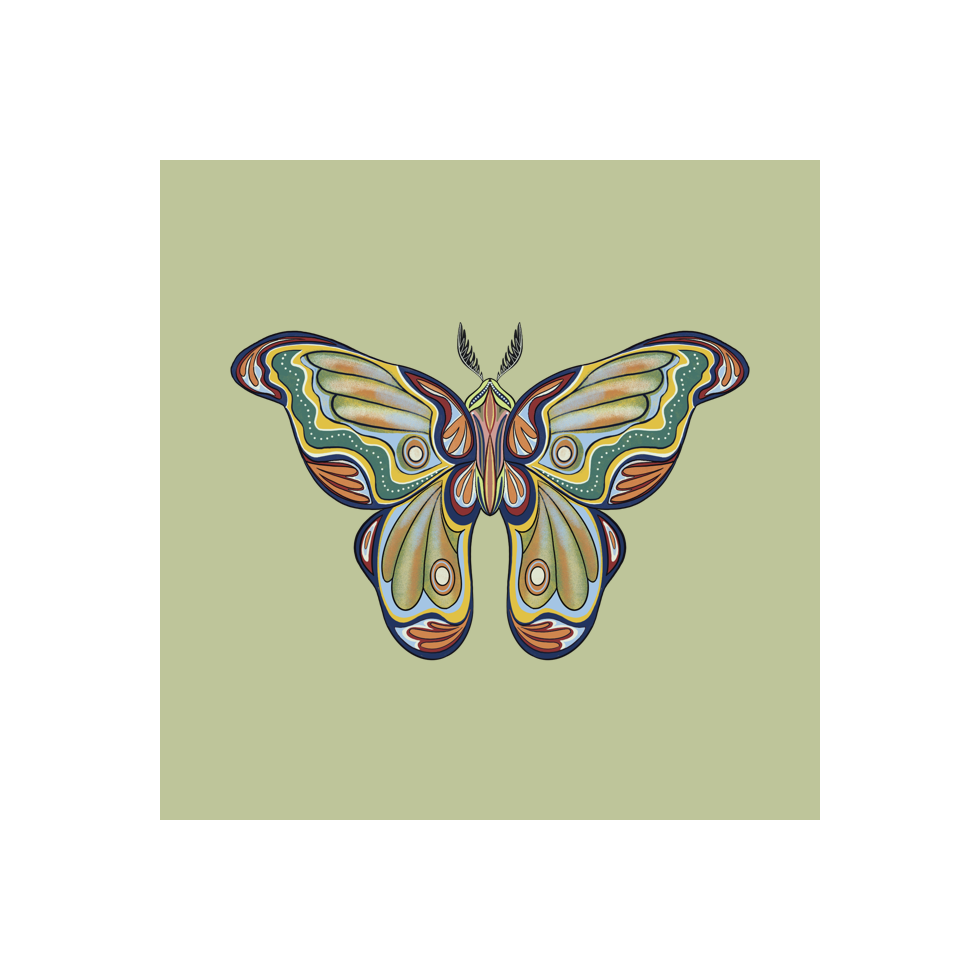 The Moth Experiment  #39