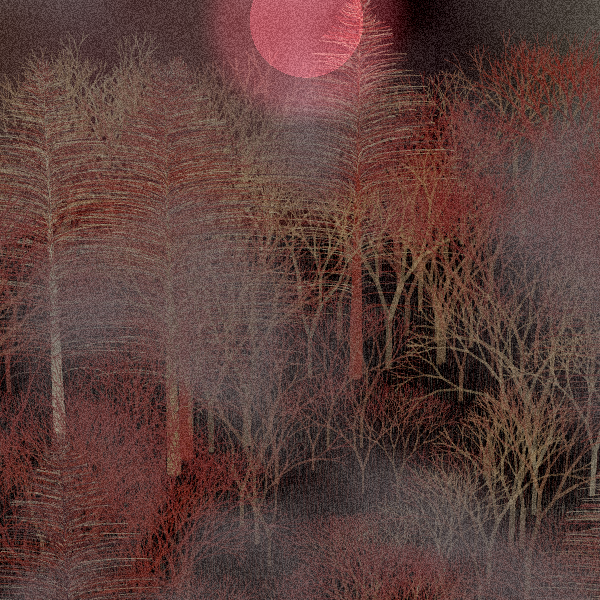 Moonlit Native Bush #61