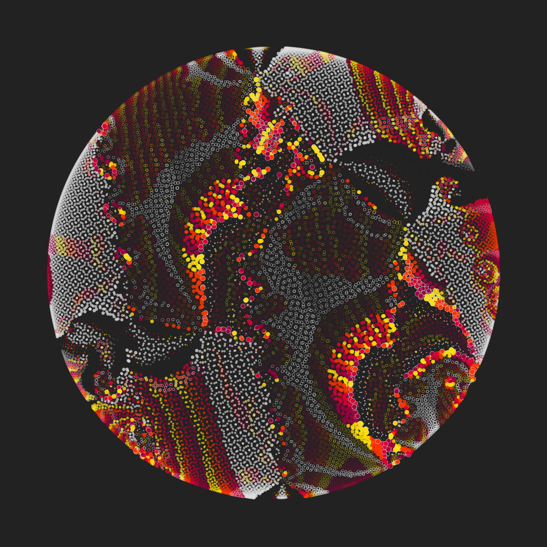 Still C #19026