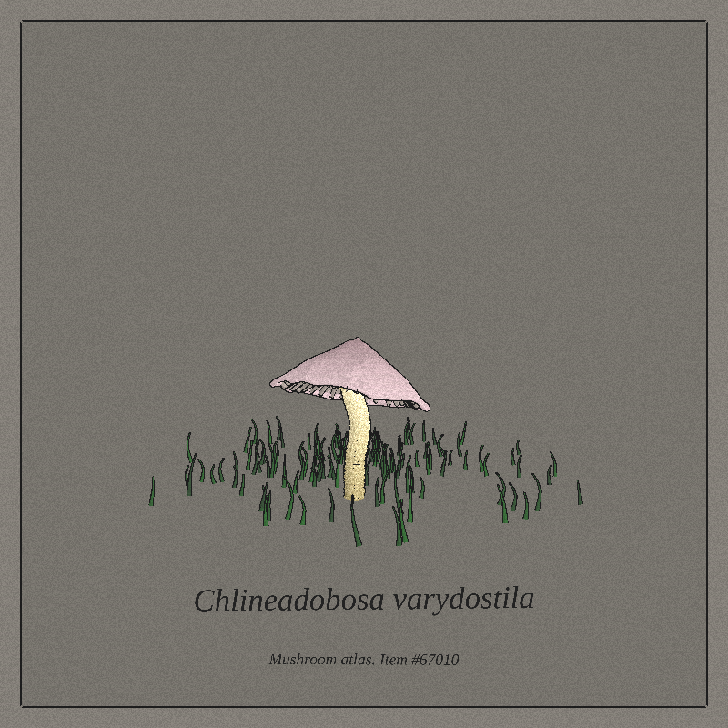 Mushroom Atlas #58