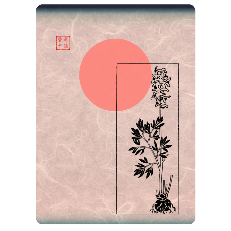 Zen flower card  #42