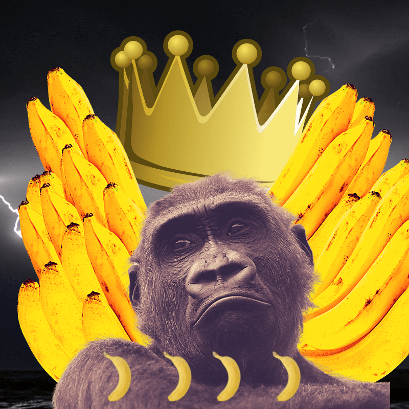 Banana gods #14