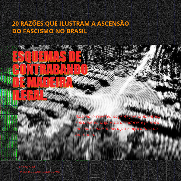 B4D - Brazil4Democracy #35