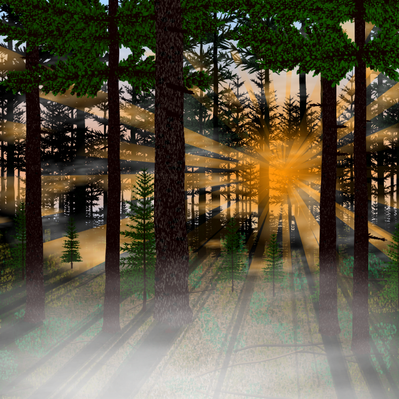 Forest Sunrise #1