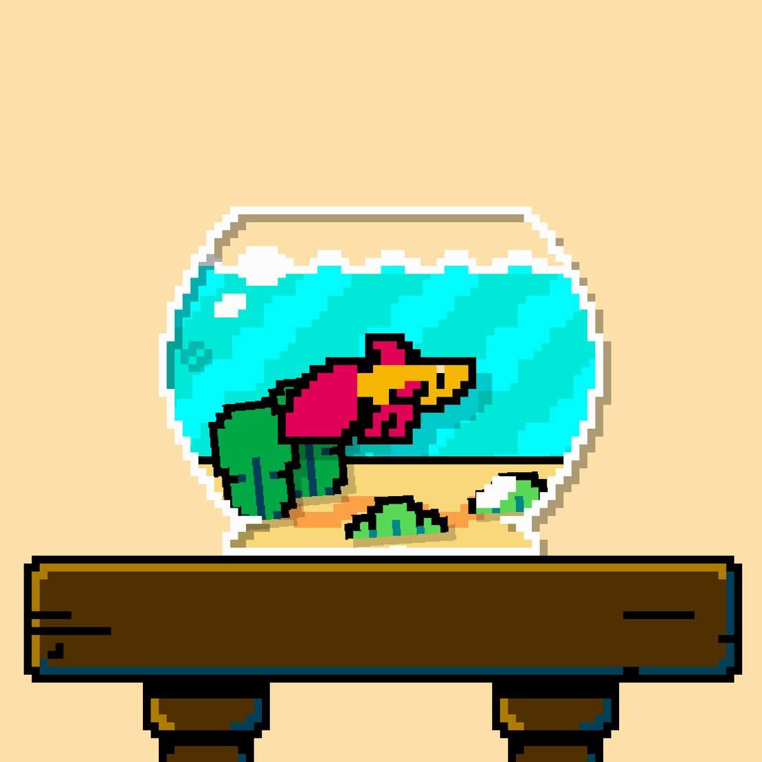 betta fish #339