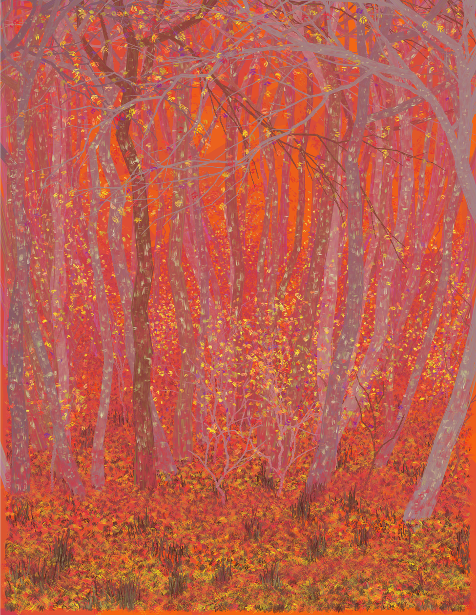 Deep Forest #232
