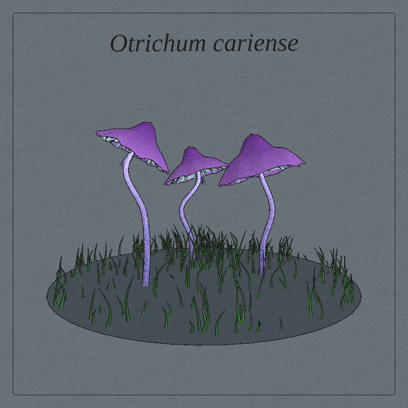 SHROOMS 3D #73