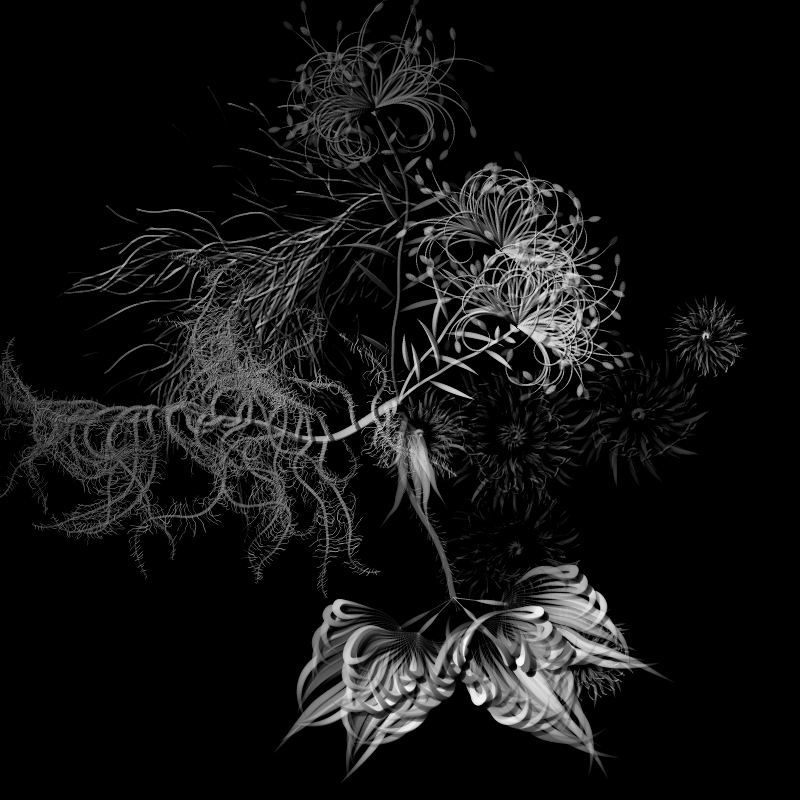 Botanical Ghosts #211