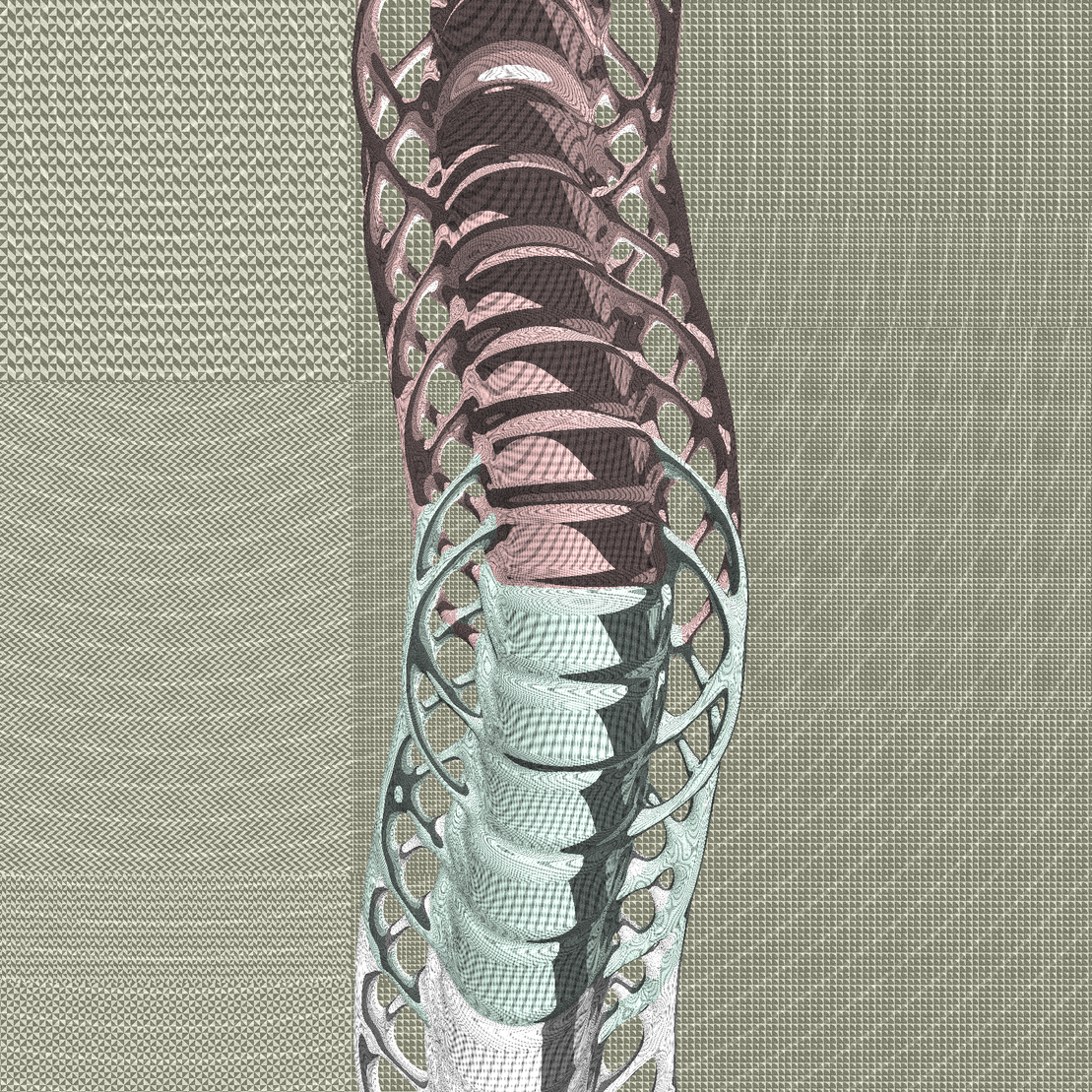 Long, Thin, Tubular Structure #115