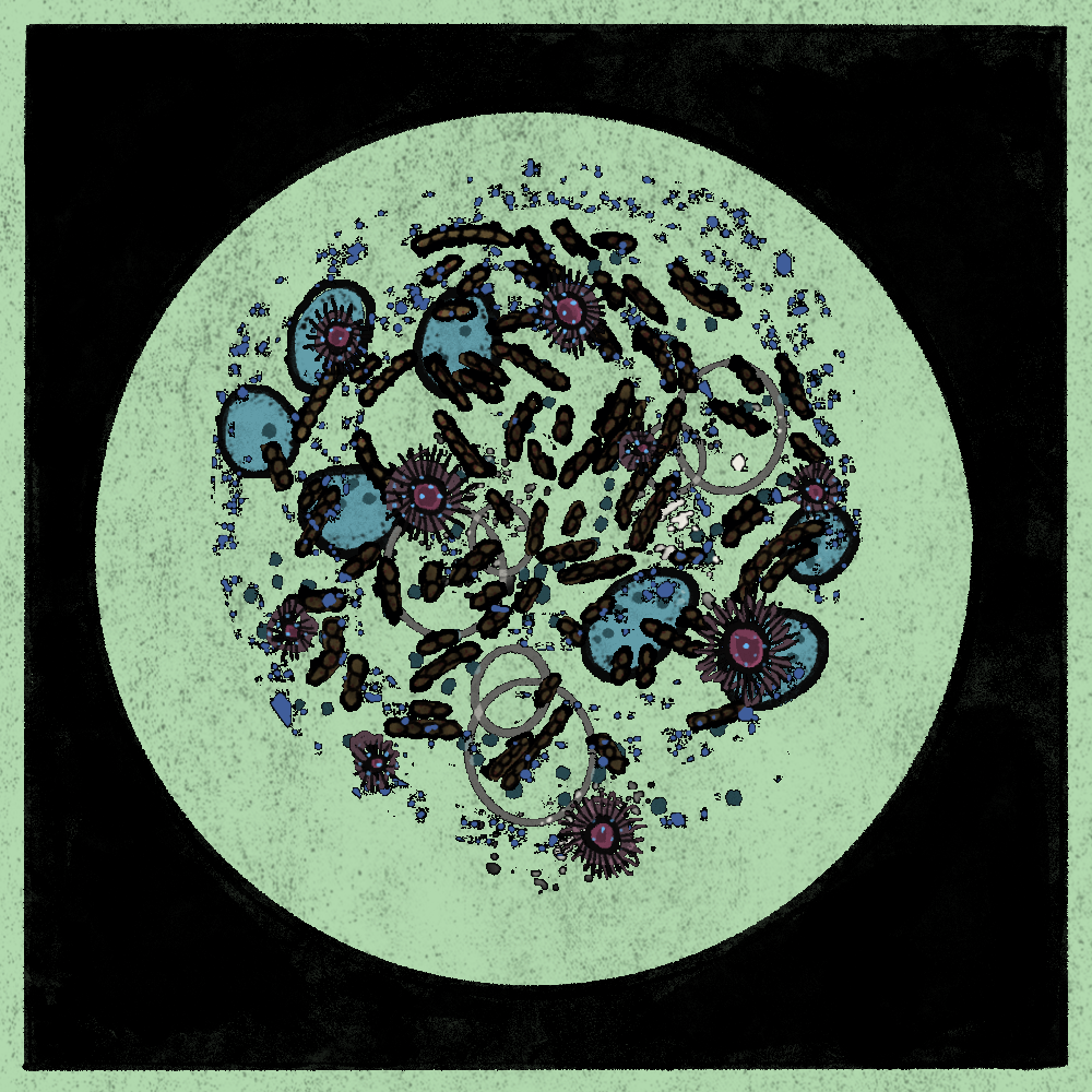 Microbes #214