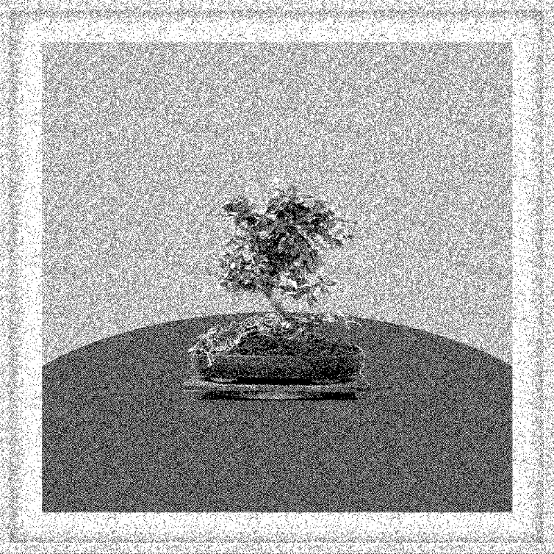 Bonsai Bonanza #559