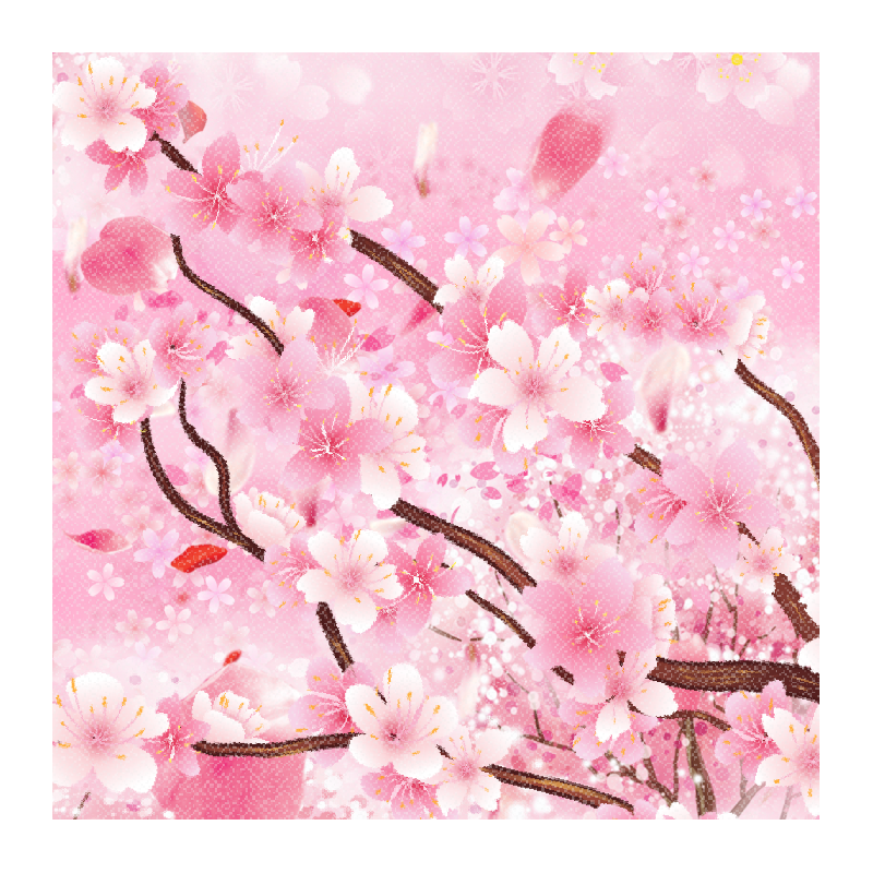 Sakura 桜