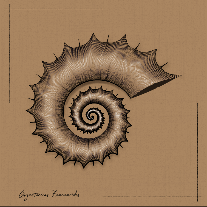 Ammonites #73