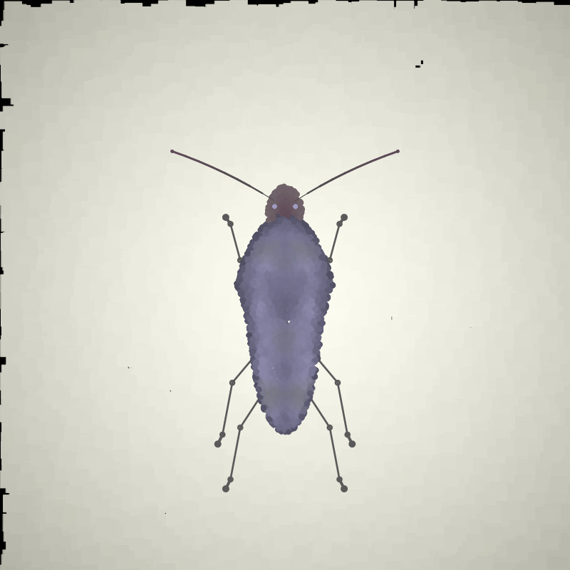 Beetle Sketches #2