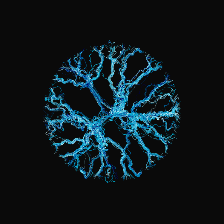 Ginseng #76