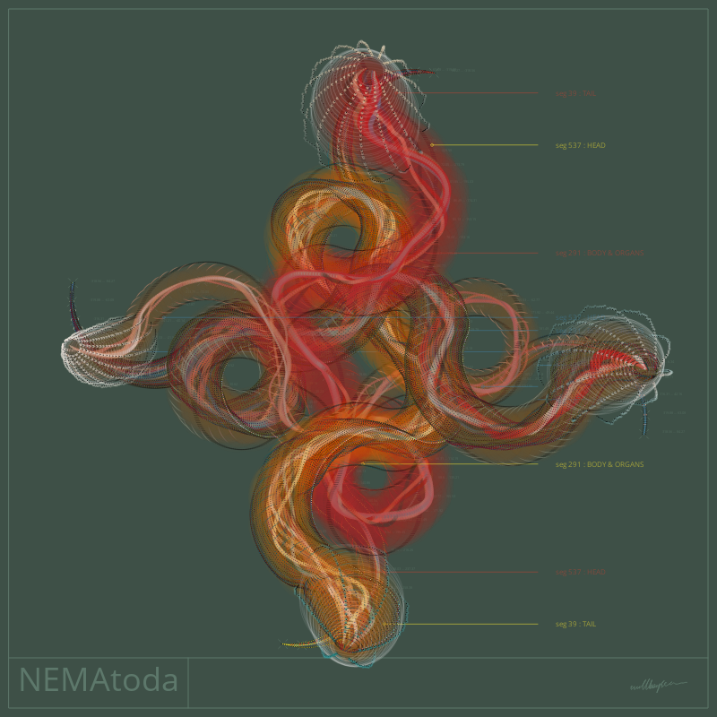 NEMA #48