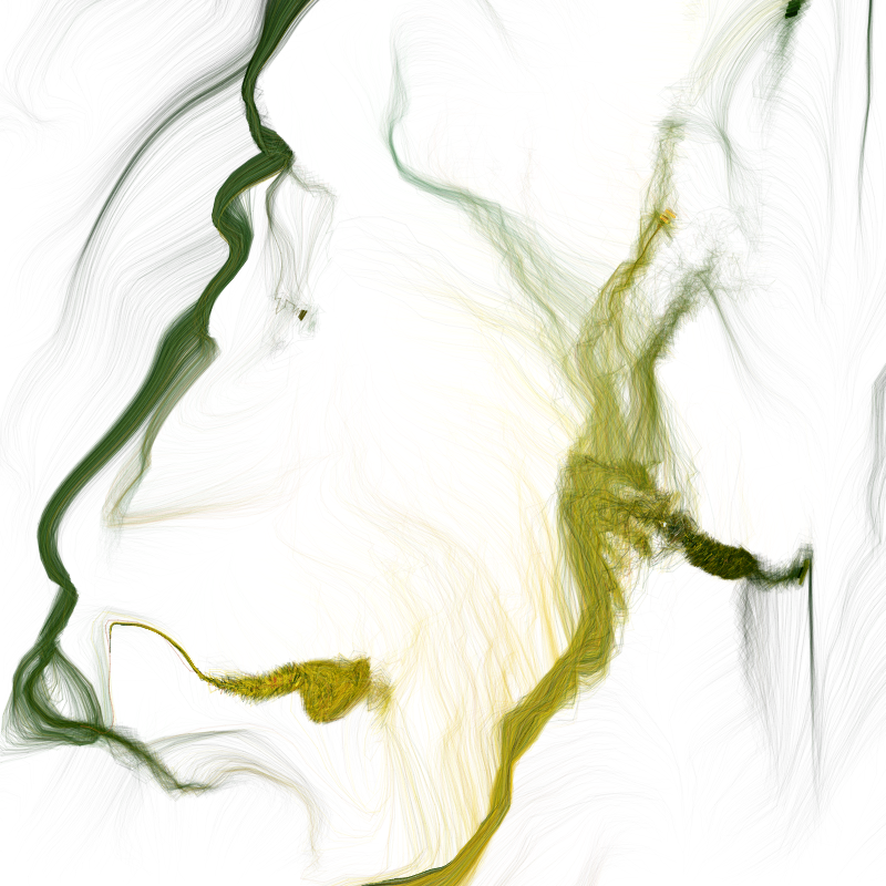Hypericum #85