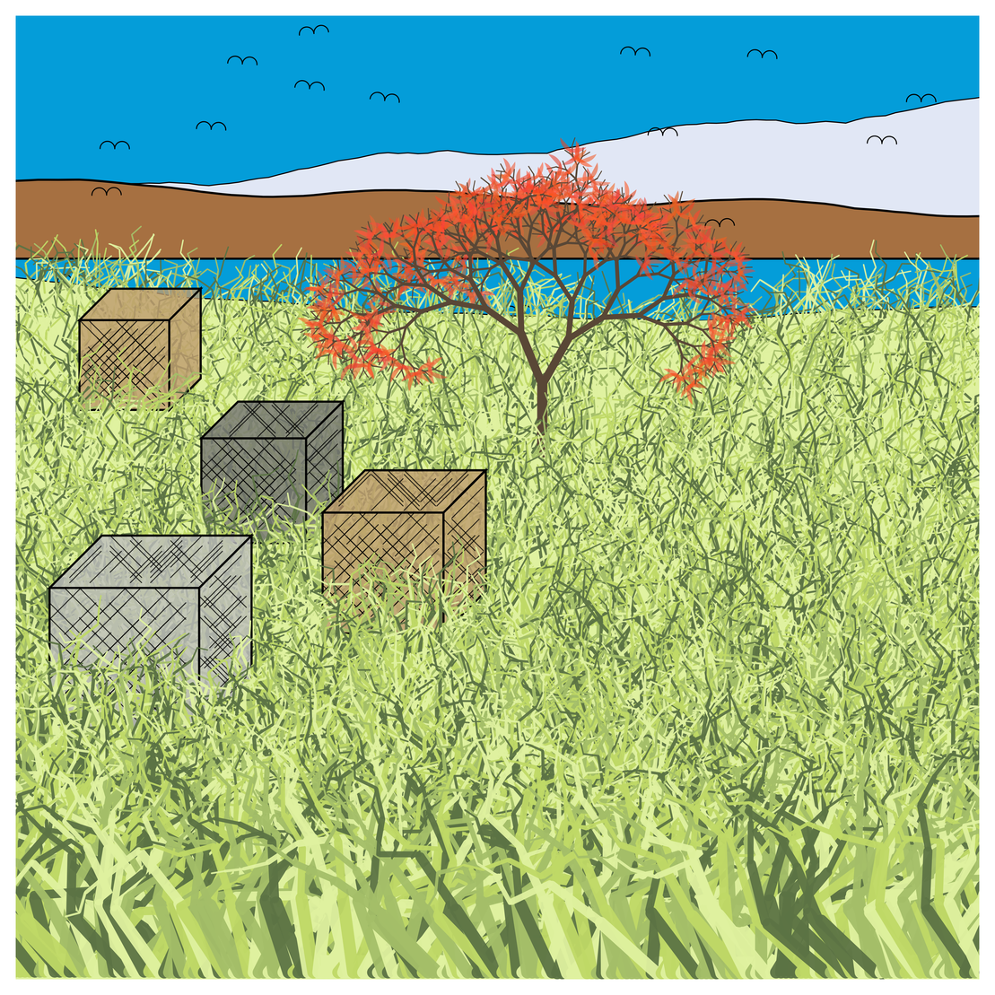 Cube Forest #99