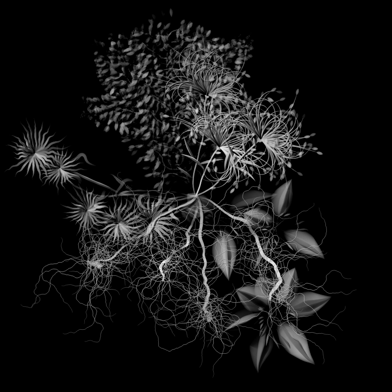 Botanical Ghosts #322