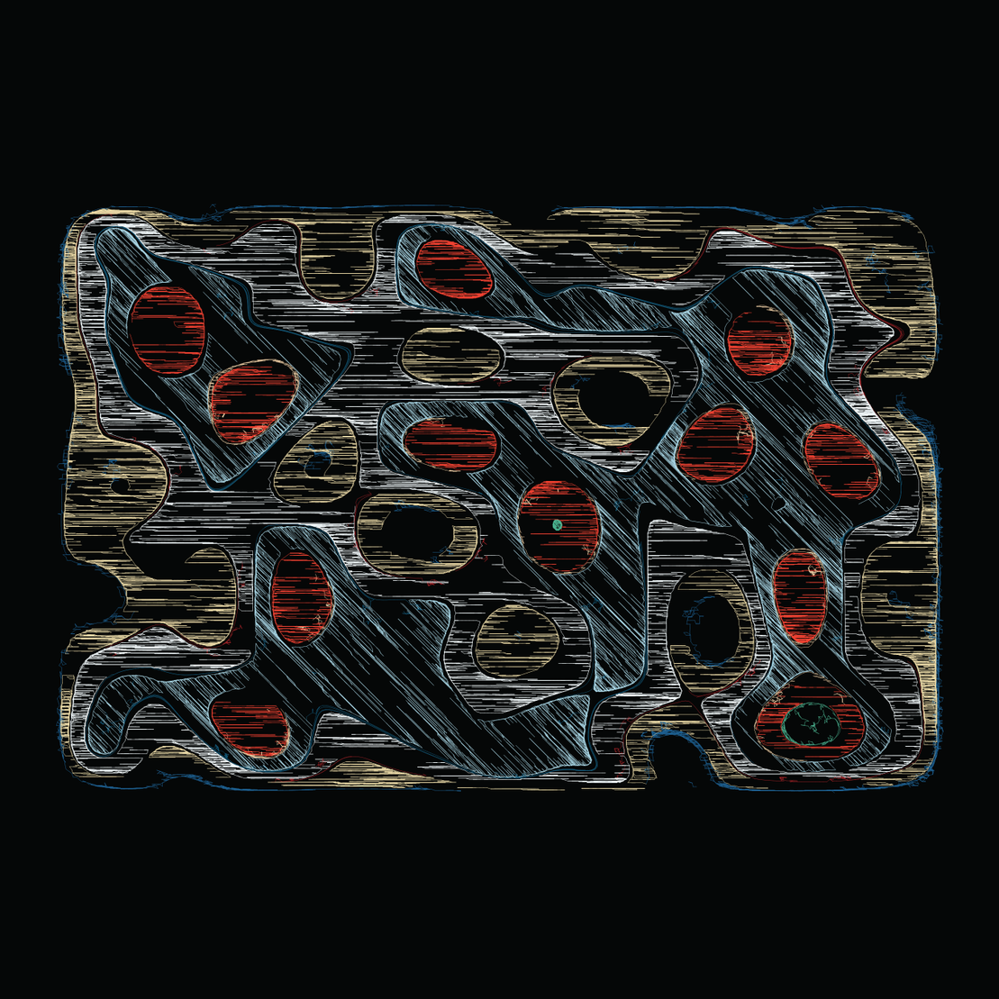 Tangentum #222