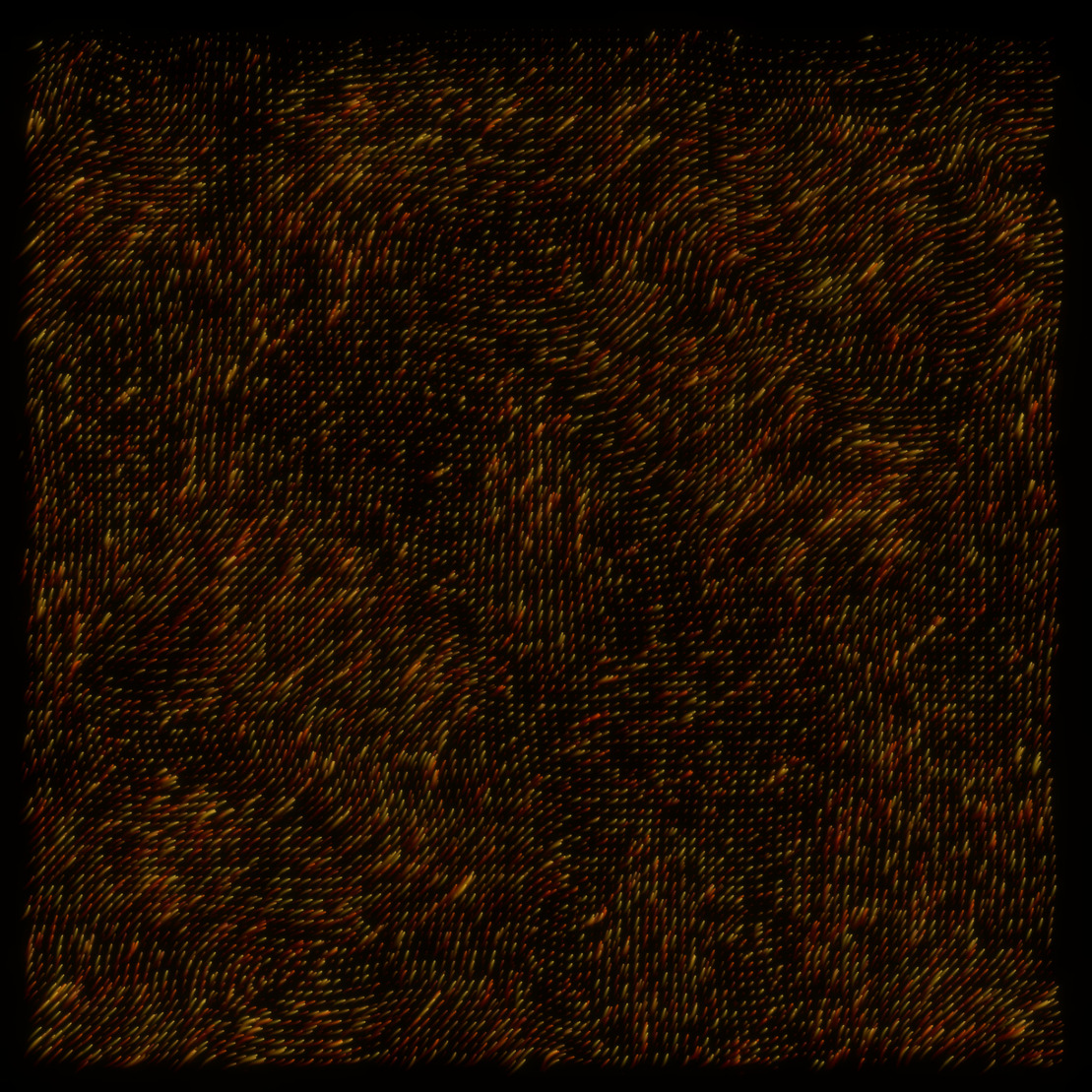 flow | meditations #647