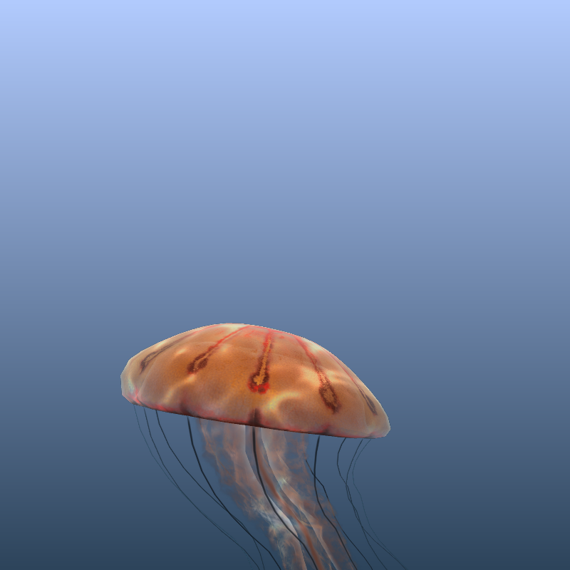 Jellyfish #23