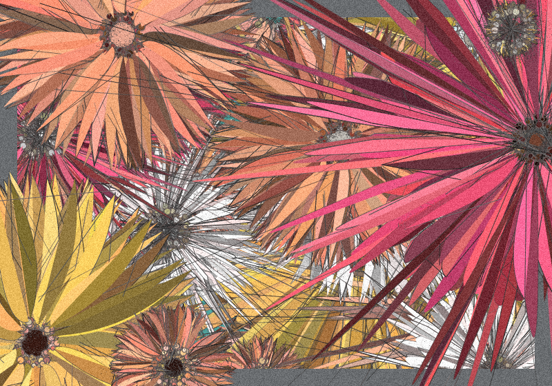 Love & Wild #138