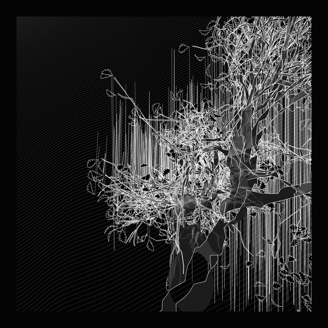 A Bugged Forest #800