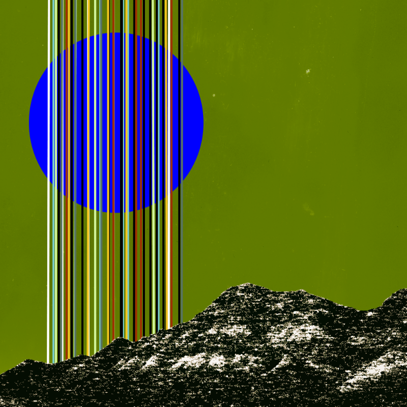 collage #1  from nature #62