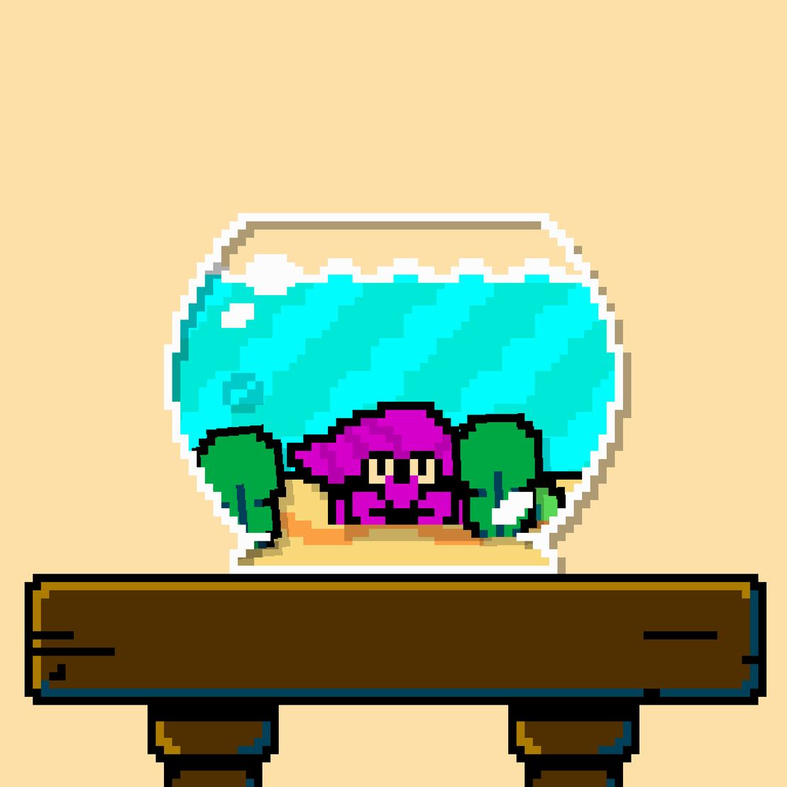hermit crab #174