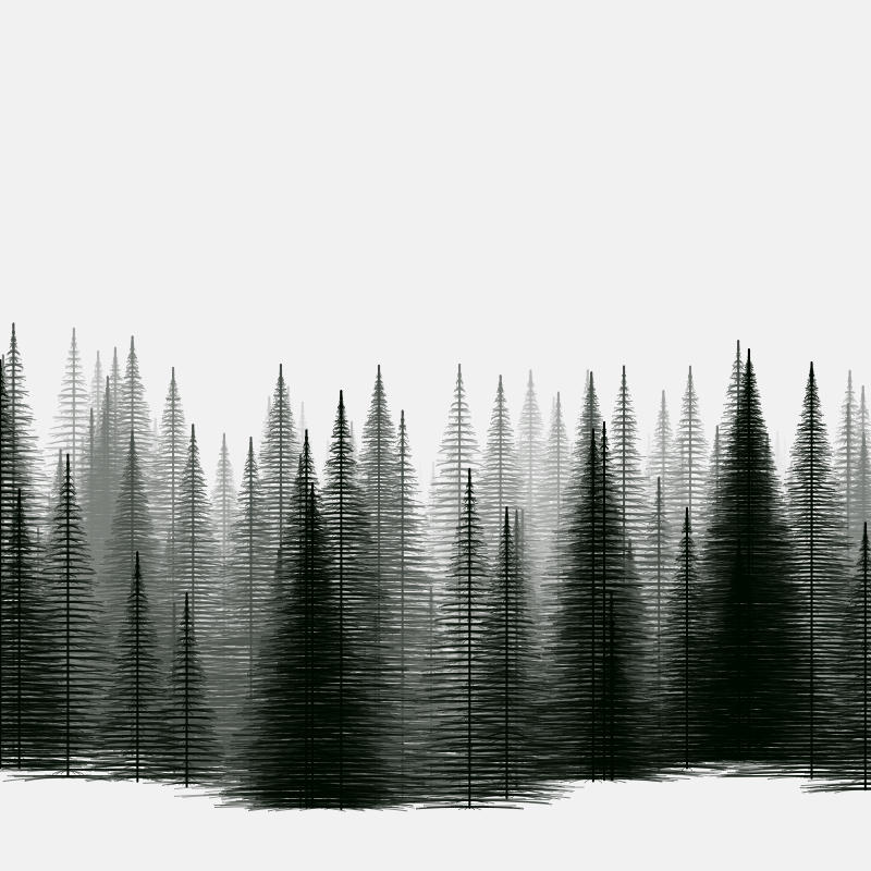 Pine trees in the cold #1