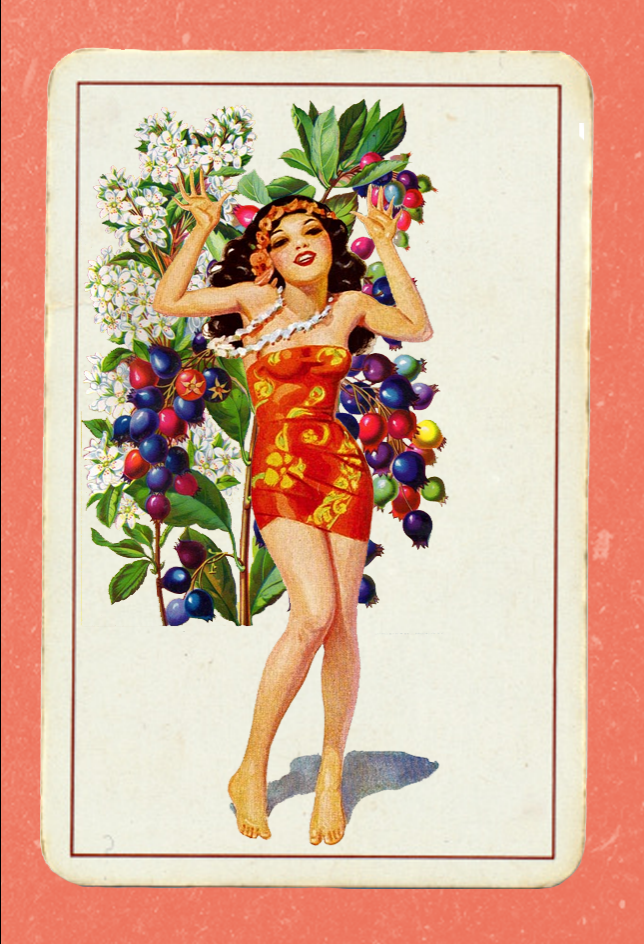 Paper Pinups  #48