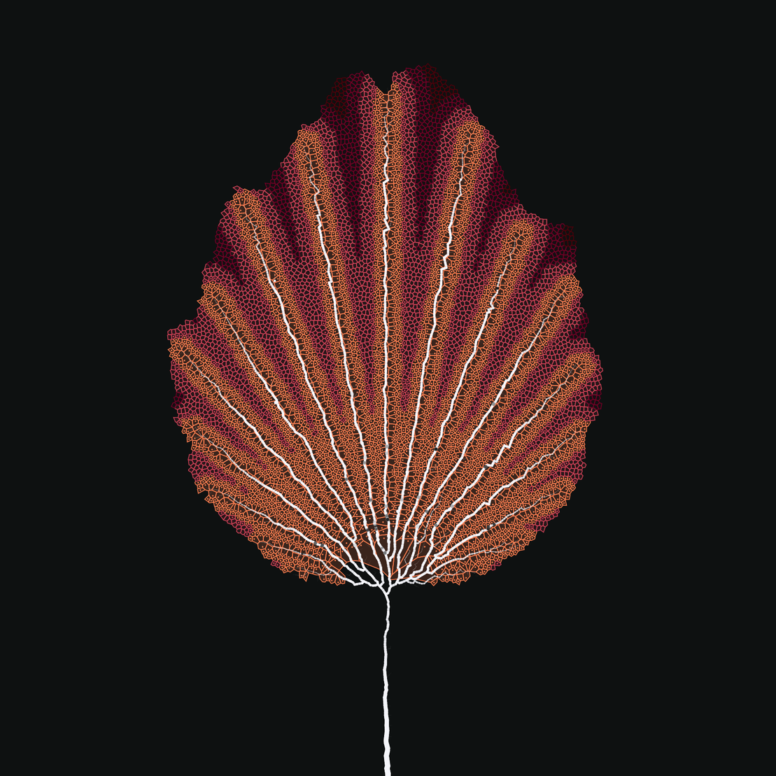 Leaf study #33