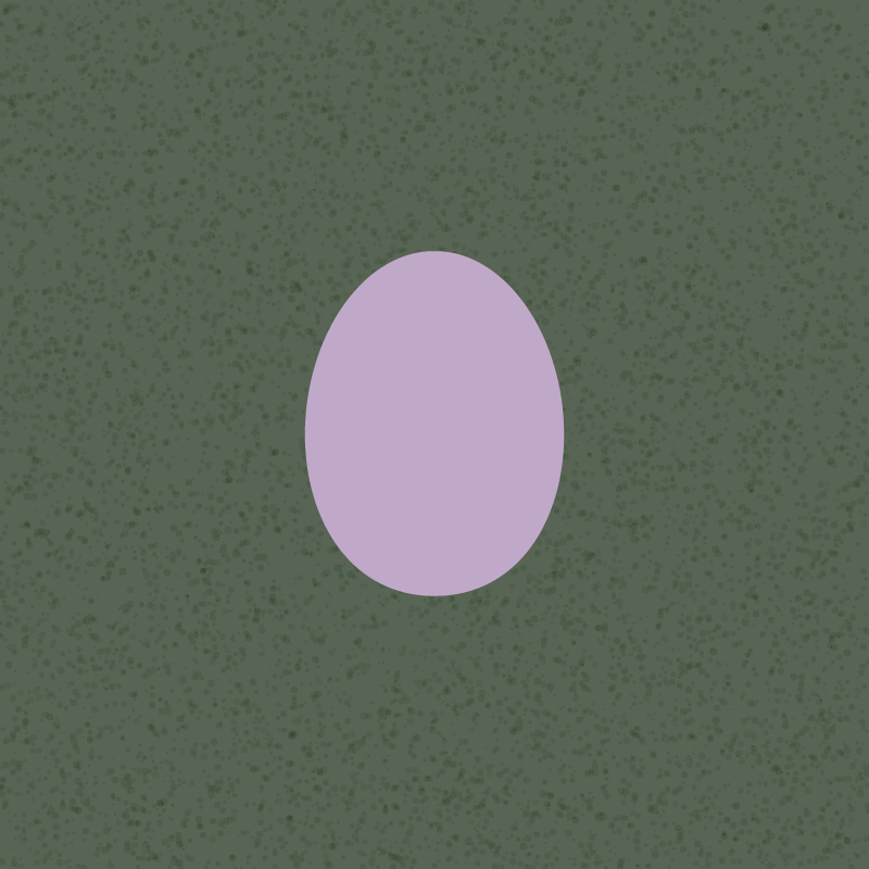 Egg #24