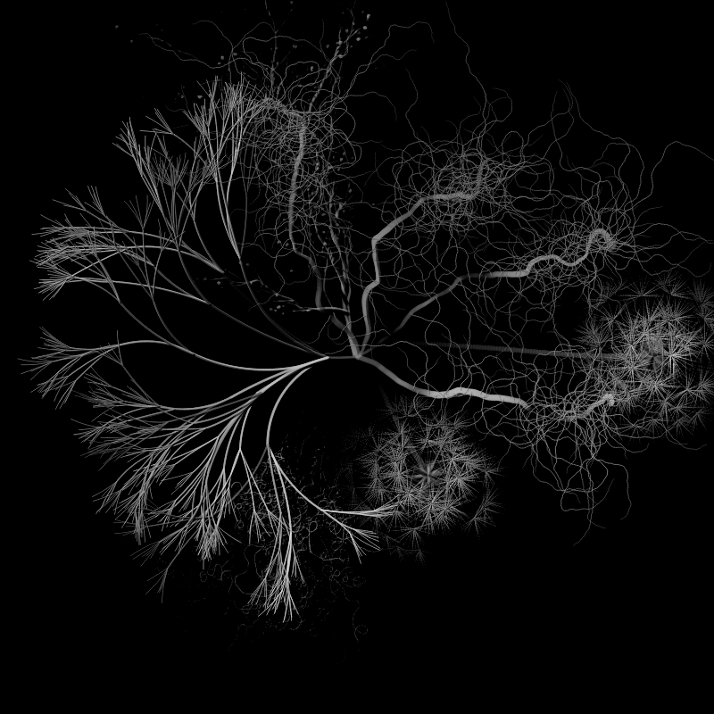 Botanical Ghosts #209