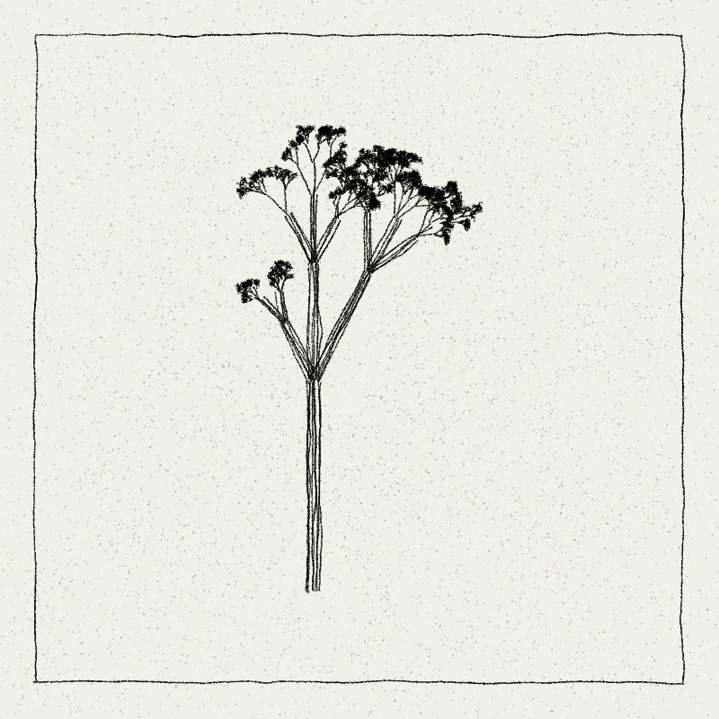 Hand-Drawn Tree #41