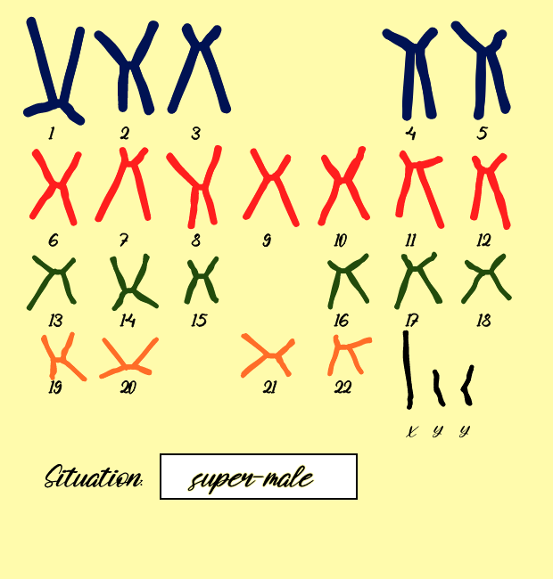 "Karyotype" #15