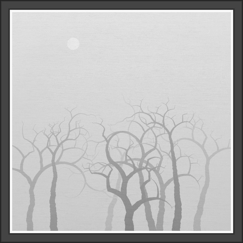 The Foggy Trees #42